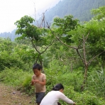 Picking berries. Picking berries.