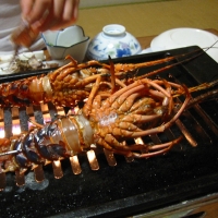 Grilled lobsters Grilling them live was unpleasant.
