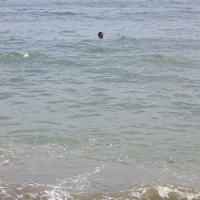Mari in the water Water was pleasant, if a little cloudy from the recent typhoons. Shore was a little rocky.