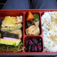Bento box Bento lunch from Kyoto station.