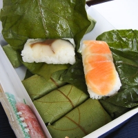 Sushi Pickled salmon and saba sushi wrapped in persimmon leaves.