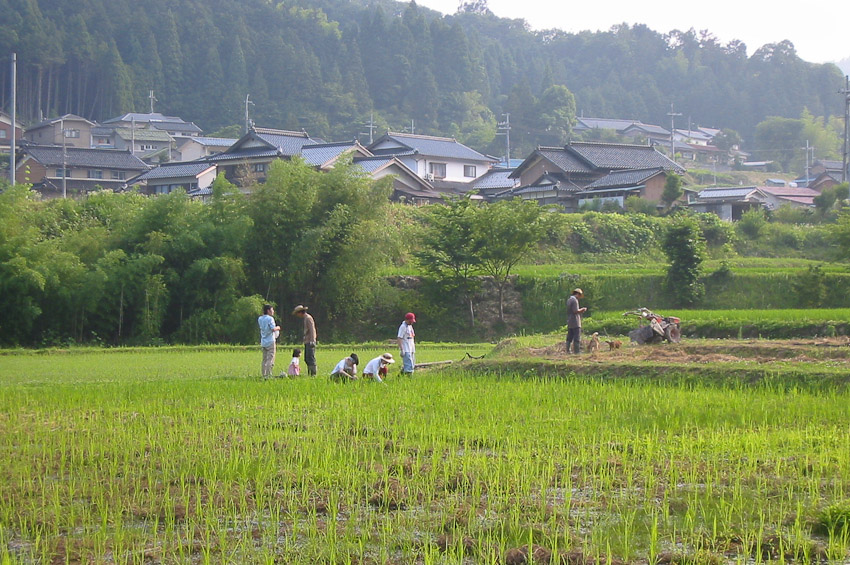 wadayama-1