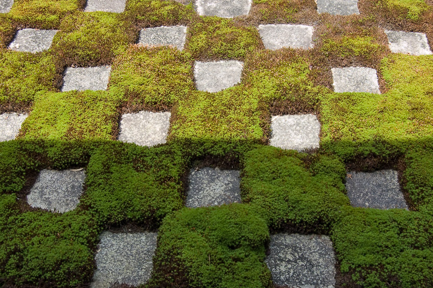toufukuji-moss-1