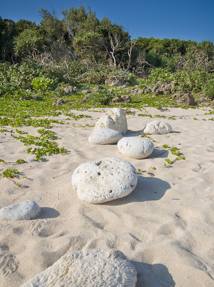 White stones
