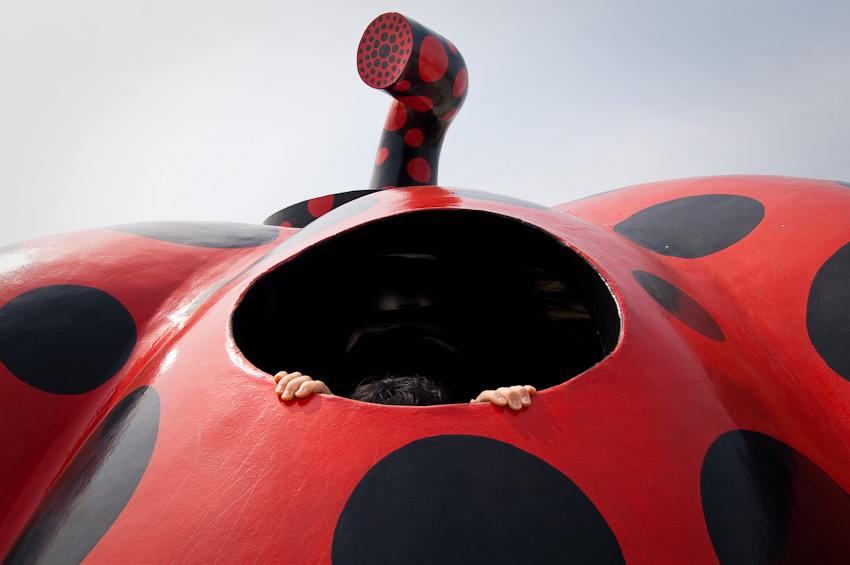 Red Pumpkin by Yayoi Kusama